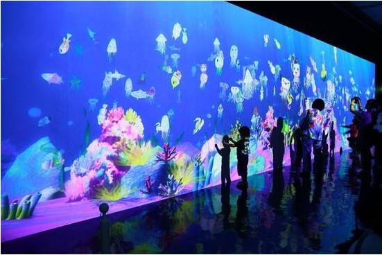 畫(huà)畫(huà)水族館